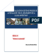 Modulo VI Informes de Autoestudio