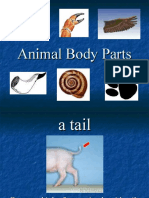 Animal Body Parts Identification Guide