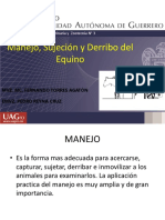 Manejo Del Equino