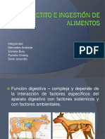 4  Apetito e ingestión de alimentos.pdf