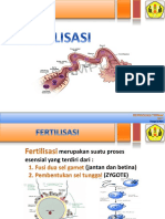 Fertilisasi