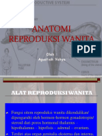 Anatomi Reproduksi Wanita