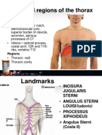 Structure of Chest, Dr. Hasan Nyambe PDF