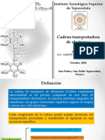 Cadena Transportadora de Electrones