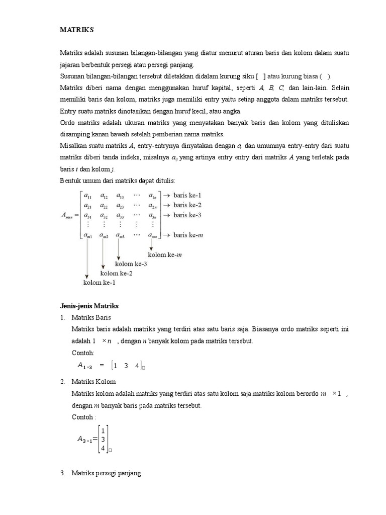 MATRIKS | PDF