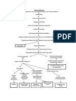 Pathway Scleroderma