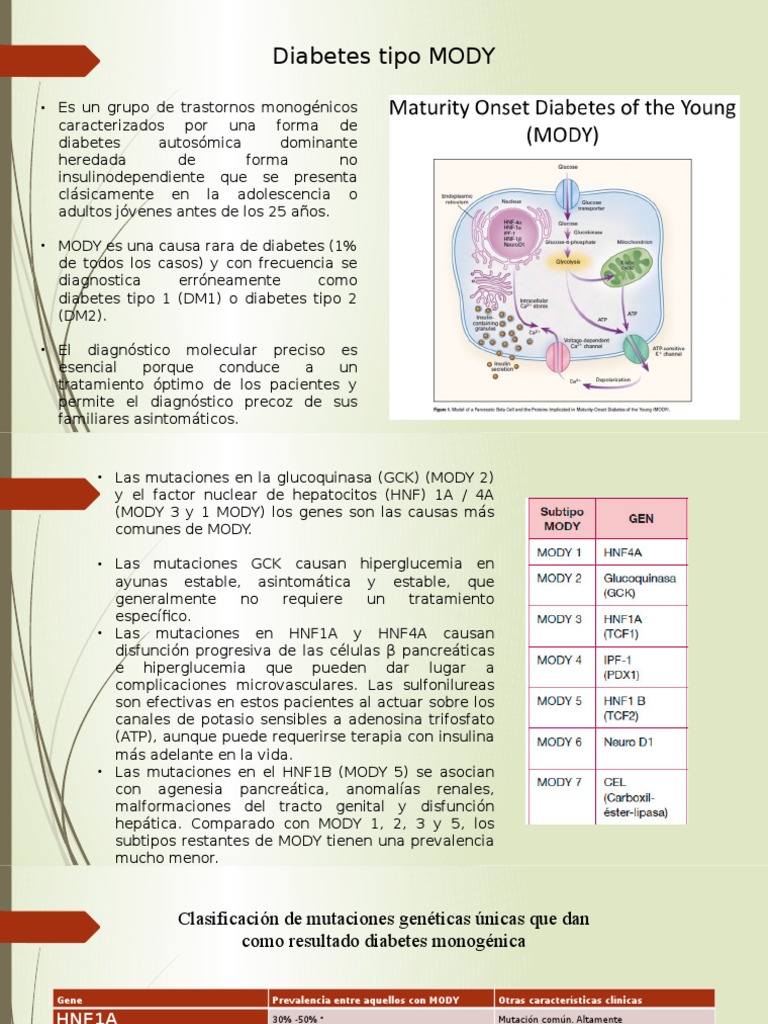 Diabetes Tipo MODY | PDF | Diabetes mellitus | Rtt