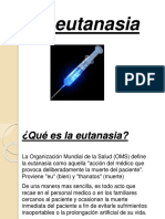 Eutanasia - DFSDFSD