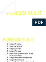 Fungsi Kulit