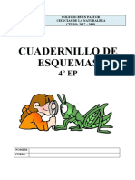 CN4 Esquemas PDF
