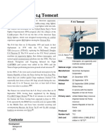 Rumman Tomcat PDF