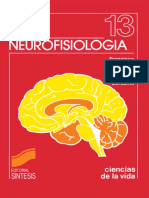 Neurofisiología - Ana M.A Barber PDF