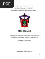 Tesis Ejemplo Metalurgia