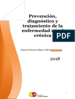 Guia Prevencion Diagnostico Tratamiento Enfermedad Renal Cronica 2018