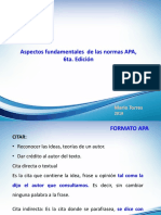 Presentación resumen sobre Normas APA.pdf