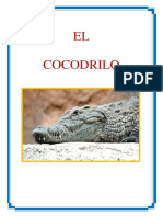 COCODRILO