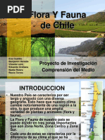 Flora y Fauna Del Norte de Chile | PDF