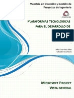 Configuración de Ms Project