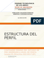 Sesion 5 Formulacion Resumen Ejecutivo