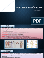 Cap. 14 - Sistema Endocrino