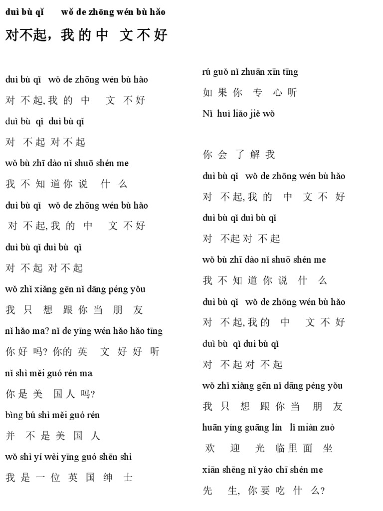 对不起，我的中文不好 | PDF