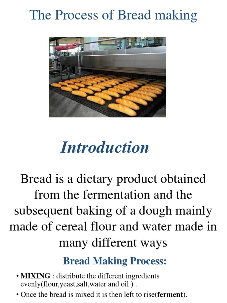 The Process Of Bread Making Pdf Breads Dough