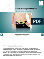 Tema 19. Integracion del metabolismo.pdf