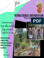 15 Pastoral.pdf