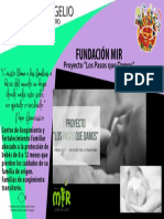 7 FUNDACIÓN MIR.pdf