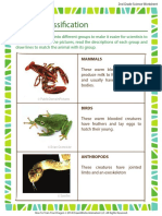 animal-classification-2nd-grade.pdf