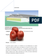 FICHA TECNICA PROGRAMA DE FOMENTO A LA AGRICULTUR TOMATE.docx