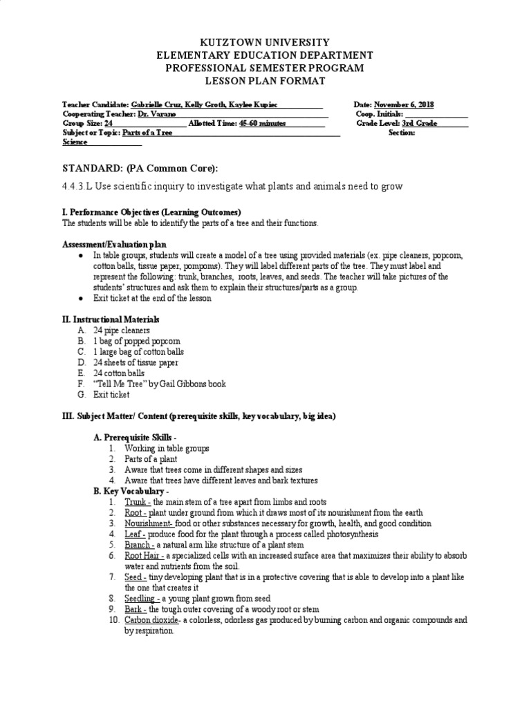 Lesson 2 Trees Plant Stem - 