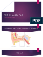 THE HUMAN EAR.pptx