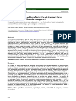 Arbuscular Mycorrhiza and Their Effect On The Soil Structure in Farms With Agroecological and Intensive Management