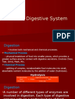 Human Digestive System: Casey Cuerda David Paul Mahinay Jomar Usop Rosenda Cantomayor