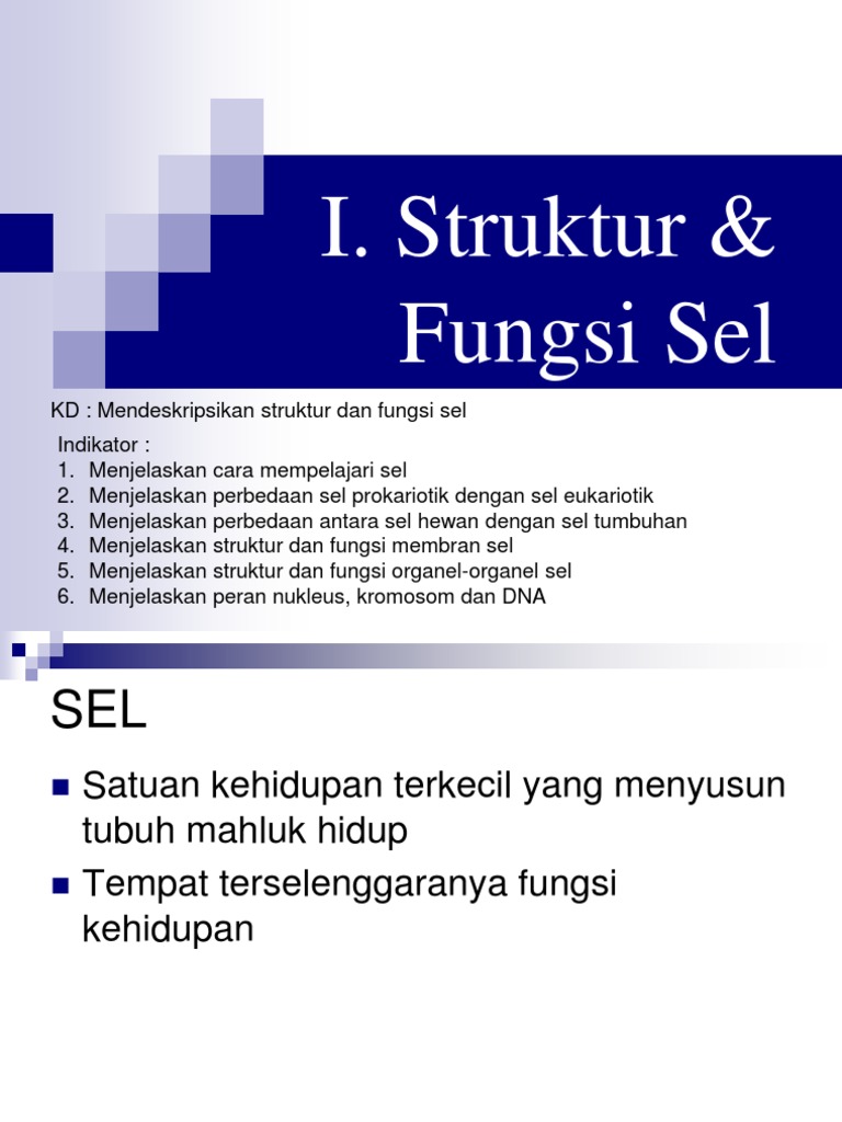  Jelaskan  Perbedaan Dan  Persamaan Antara Sel  Tumbuhan Dan  