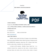 BlackBear Ventures Capital Corp Company Profile