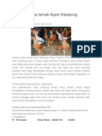 Analisis Usaha Ternak Ayam Kampung Terbaru 2018