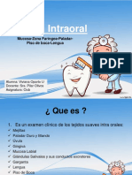 examenintraoral-120428235731-phpapp02