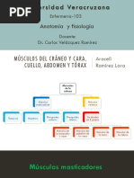 Músculos del cráneo y cara, cuello,.pptx
