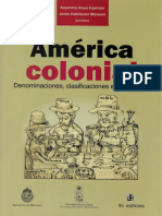 America Colonial. Denominaciones Clasifi PDF