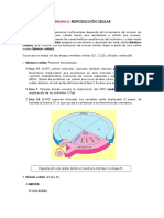 02 Funciones Crecientes y Decrecientes