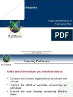 Professional & Enterprise Development CE00315-2: Organizational Context of Professional Work