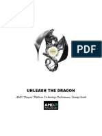 AMD_Dragon_AM3_AM2_Performance_Tuning_Guide.pdf