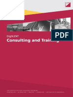 Consulting Brochure en