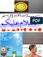 Sistem Pernapasan - Fix