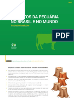 impactosdapecuaria (1)