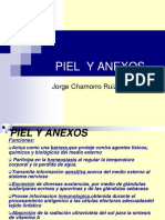 1-piel-y-anexosmedicina2001-1225677272452908-9