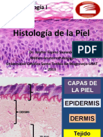 histologiadelapiel-130323110018-phpapp01