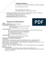 Boli Infectioase-Curs